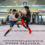 Eighth Youth MMA Championship to be held at Dubai’s Shabab Al Ahli Club on Saturday